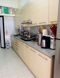Macpherson Garden Estate (D13), Terrace #321859741